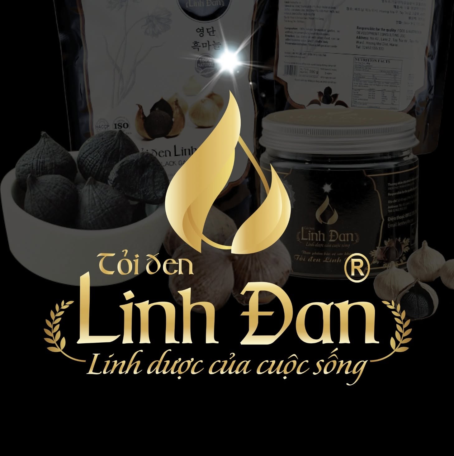 Logo Tỏi Đen Linh Đan